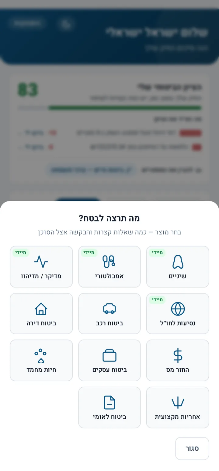 בחירת מוצר להצעה